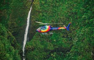 Vol en hélicoptère : Honolulu, côte sud et falaises de Nu’uanu (30 mn) - A Oahu