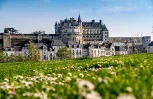 Journée découverte en minibus : Châteaux d'Amboise, Chenonceau, Chambord et Clos Lucé - Au départ de Tours