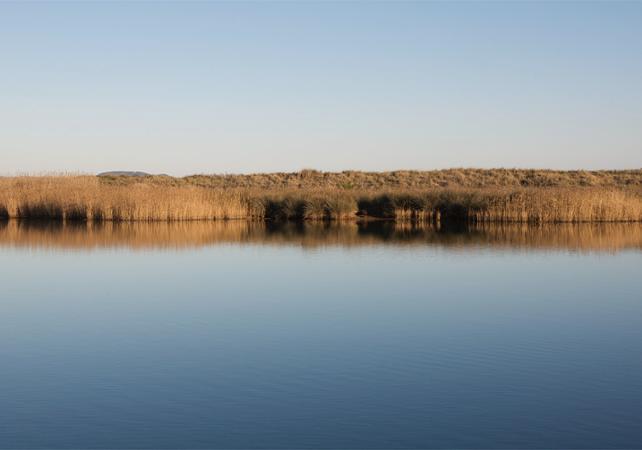 Tour guidé des étangs de Villepey - Au départ de Fréjus