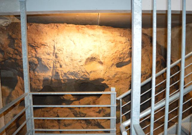 Visite guidée de la crypte archéologique du Vivier Romain et du Musée Archéologique de Fréjus