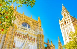 Private guided tour of Seville's Cathedral - With fast-track admission
