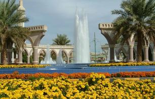 Guided Excursion to the Al Ain Oasis