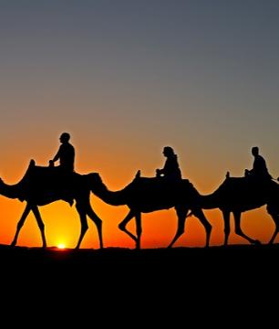 Balade en chameau dans le désert de Dubai au lever du soleil - Avec petit-déjeuner traditionnel