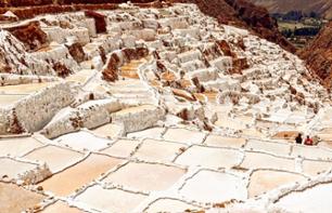 Excursion guidée d'une demi-journée au site archéologique de Moray & Mines de sel de Maras - Au départ de Cuzco