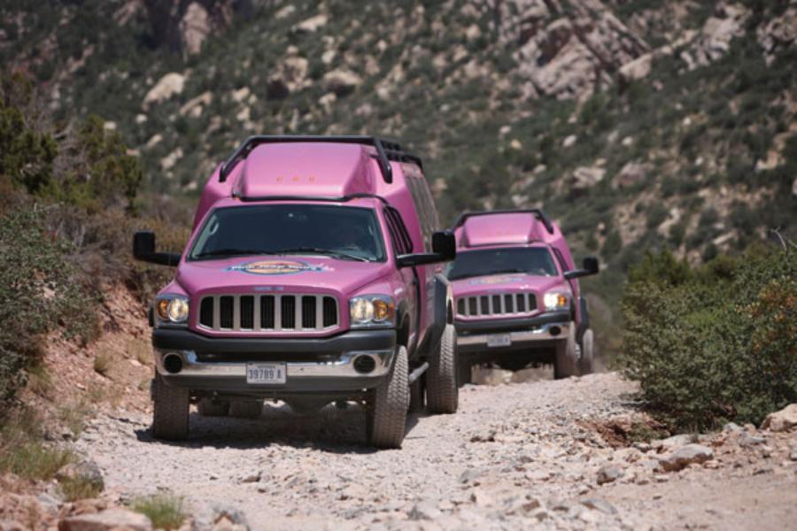 Excursion au Red Rock Canyon - VIP Tour & Aventure off-road (en option)