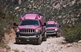 Excursion au Red Rock Canyon - VIP Tour & Aventure off-road (en option)