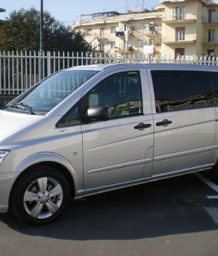 Transfer to Pompeii and Sorrento by private vehicle - leaving from Naples