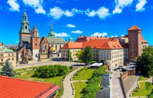 Tour Wawel Castle in Krakow