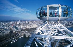Billet coupe-file et accès VIP au London Eye avec guide