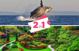 Whale-watching cruise & visit to Butchart Gardens - Departs from Victoria