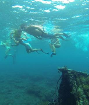Discover the East Coast and Go Snorkelling