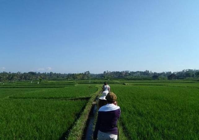 Trek dans les rizières à et massage des pieds à Ubud