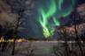 Chasse aux aurores boréales en minibus & dîner inclus - Au départ de Tromsø