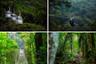 Ultimate explorer : téléphérique, tyroliennes, pont suspendu et balade en forêt - A proximité du Parc national Braulio Carrillo