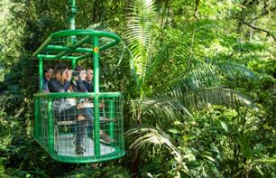 Traversée de la canopée en téléphérique et balade en forêt - A proximité du Parc national Braulio Carrillo