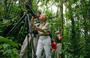 Tour d’observation des oiseaux au coeur de la forêt - A proximité du Parc national Braulio Carrillo