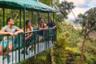 Cable Car Ride through The Canopy and Rainforest Walk – On The Pacific Coast