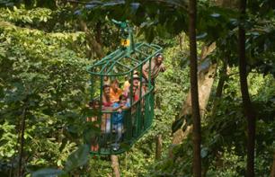 Travel Through the Canopy by Cable Car – In St. Lucia