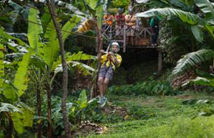 Zip-Lining & Travel Through the Canopy by Cable Car – In St. Lucia