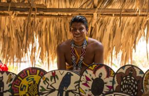 Visite guidée du village amérindien d'Embera - Panama