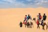Camel ride in the desert - departing from dubai