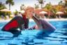 Nade con los delfines en Dubái + entrada al parque acuático "Aquaventure"