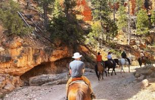Randonnée à cheval d'une journée au Red Canyon - Bryce Canyon