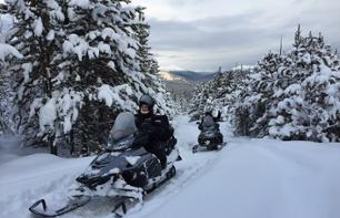 Balade guidée d'1h en motoneige au Yukon - Au départ de Whitehorse