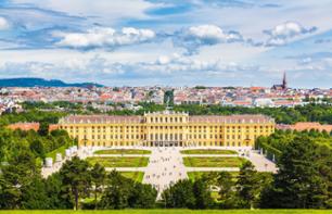 Ticket to Schönbrunn Palace with audio guide & classical music concert in the Orangery - Vienna