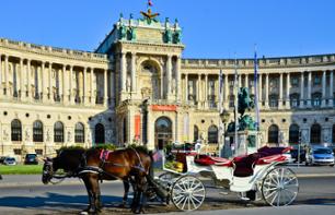 Visita del Palacio de Hofburg y del Palacio de Schönbrunn, cena romántica y concierto