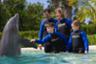 Rencontre avec les dauphins + billet d’entrée au Miami Seaquarium