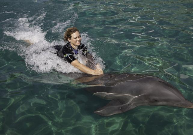 Nage avec les dauphins + billet d’entrée au Miami Seaquarium
