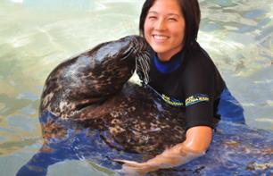 Swimming with Seals + Admission to the Miami Seaquarium