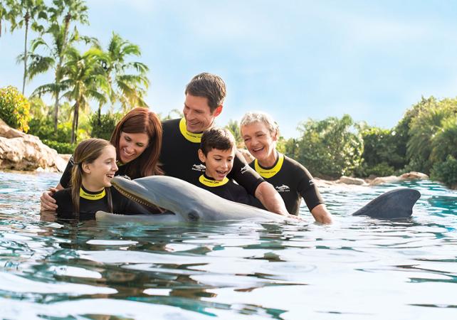 Billet Discovery Cove Orlando - Parc interactif - Nage avec les dauphins et les animaux aquatiques