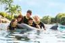 Discovery Cove Orland - Interactive park - Swim with the dolphins and other aquatic animals