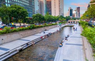 Guided visit to the Korean National Museum and walk along the Cheonggyecheon stream