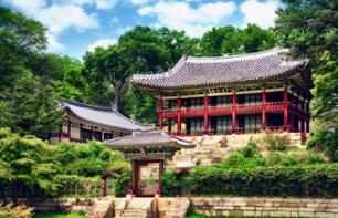 Guided tour - Changdeok palace and Namdaemun market