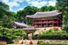 Guided tour - Changdeok palace and Namdaemun market