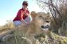 Marche avec les lions dans une réserve des Chutes Victoria – Au départ de Victoria Falls