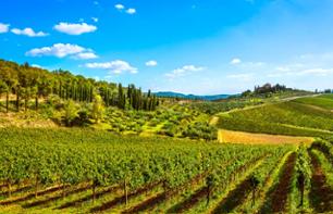 Excursion to Radda in Chianti with wine tasting and a visit to a vineyard - From Florence
