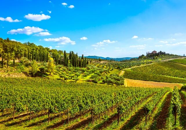 Excursion à Radda in Chianti avec dégustation de vin et produits locaux et visite d’un vignoble - Au départ de Florence