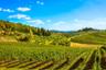 Excursion à Radda in Chianti avec dégustation de vin et produits locaux et visite d’un vignoble - Au départ de Florence - En Français