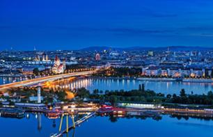 Soirée à Vienne : Dîner-Croisière & Concert sur le Danube