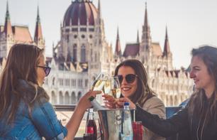 Croisière Open Bar sur le Danube à Budapest