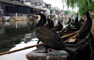 Visite privée à pied de Suzhou et Tongli – Au départ de Shanghai
