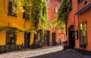 Guided visit in 5 areas in Stockholm