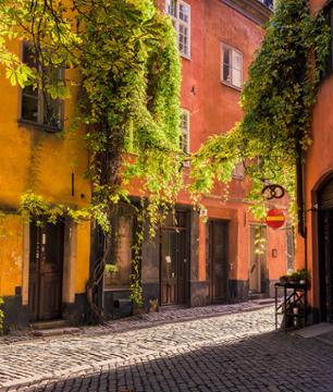 Guided visit in 5 areas in Stockholm