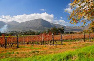 South African Peninsula & The Garden Route - 6 days/5 nights