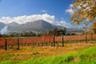 South African Peninsula & The Garden Route - 6 days/5 nights