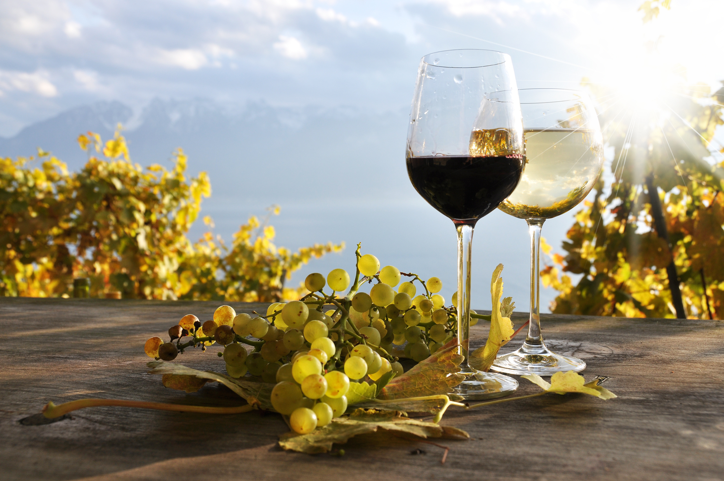 И реки полные вина. Вино на природе. Вино и море. Бокал вина на природе. Грузинское вино и виноград.